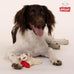 Multipet Lamb Chop 6" cream plush dog toy with squeaker for cuddling and playtime