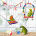 Parakeet bird swing hanging standing chewing hammock climbing ladder colorful toys suitable for budgerigar, parakeet, conure, cockatiel and more