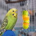 304 stainless steel bird cage food holder for parrot fruit vegetable skewer 3-pack