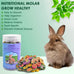 katumo small animal molar toys timothy grass treats for guinea pig hamster bunny chinchilla