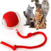 Rocfish Durable Interactive Cat Toy for Indoor Cats, Automatic Chase Ball Toy Purple