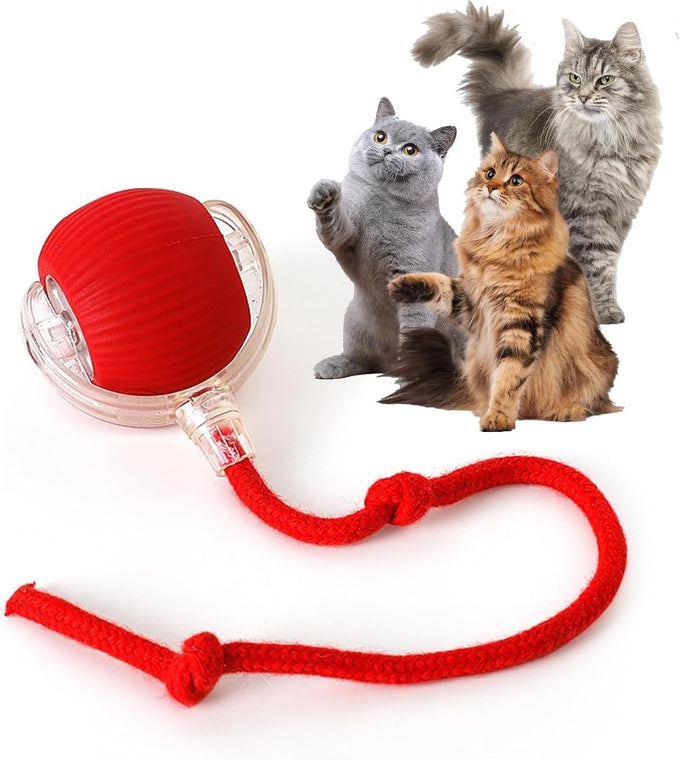 Rocfish Durable Interactive Cat Toy for Indoor Cats, Automatic Chase Ball Toy Purple