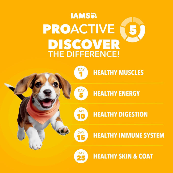iams proactive health dry dog food, premium dog food dry recipe, 15 lb bag with real chicken and no fillers