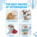 Supet adjustable dog cone collar for large medium small dogs, comfortable pet recovery, Elizabethan neck collar