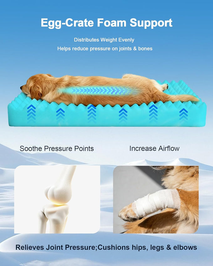 Medium cooling dog bed with orthopedic memory foam, waterproof, and washable nylon cover, blue, 36 inches