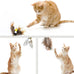 cat insect feather toys 6 pieces natural replacement refills interactive teaser attachments with bell