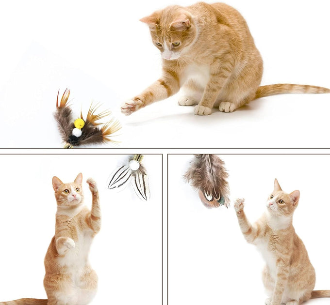 cat insect feather toys 6 pieces natural replacement refills interactive teaser attachments with bell