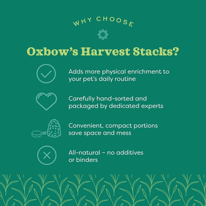 Oxbow Harvest Stacks Timothy Hay with Carrots 35 oz Guinea Pig Hay for Small Pets