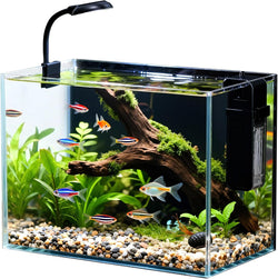 2.5 Gallon Small Fish Tank Aquarium Kit with Ultra-Clear Glass and LED Light for Desktop or Beginner Use