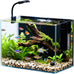 2.5 Gallon Small Fish Tank Aquarium Kit with Ultra-Clear Glass and LED Light for Desktop or Beginner Use