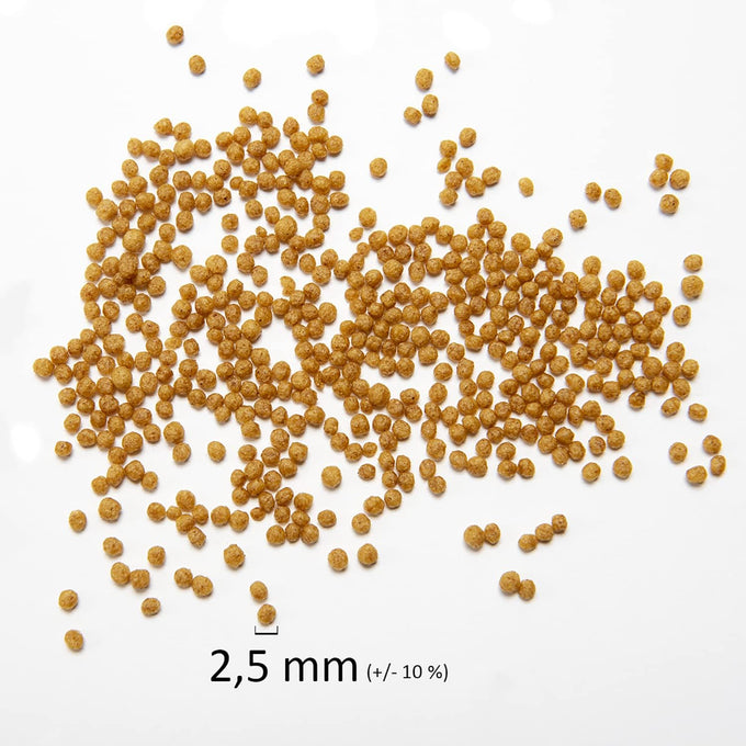 Psittacus Minor 1 lb Complete Pellet Diet for Lovebirds Parrotlets and Green Cheeks