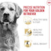 Royal Canin Golden Retriever Adult Dry Dog Food, 30 lb