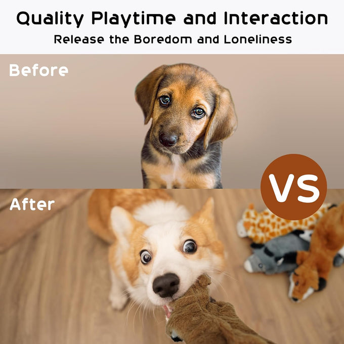 Nocciola Crinkle Plush Dog Toys Set, 5 PCS, Stuffless, Squeaky, No Stuffing, Suitable for Small Medium Large Dogs