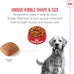Royal Canin Golden Retriever Adult Dry Dog Food, 30 lb