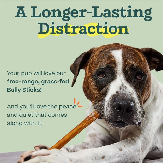 woof bully sticks made with free-range grass-fed beef 6 inch sticks 10pk