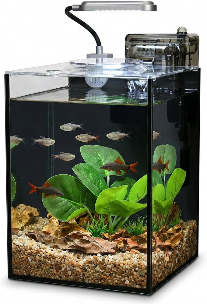 2.2 gallon black glass aquarium set for desktop, small kit for beginners and children with betta fish, goldfish, and aquatic plants