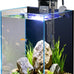 1.5 gallon nano glass aquarium starter kit for aquascape and small betta fish tanks