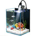 Small nano glass fish tank start kit with filter, LED light for shrimp, small fish, betta (1.5 gallon)