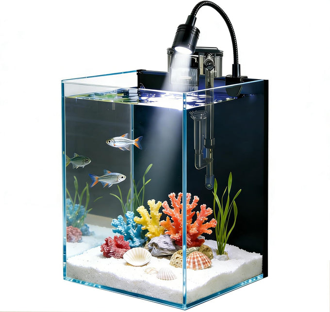 Small nano glass fish tank start kit with filter, LED light for shrimp, small fish, betta (1.5 gallon)