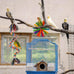 RLRICH 6 pack colorful parrot foraging shredder toys with comfy perch for parakeet and small medium parrots
