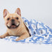 3-pack Soft Fluffy Elephant Pattern Pet Blanket Flannel Throw for Small Dogs and Cats Blue/Pink/Yellow 23x16 inch