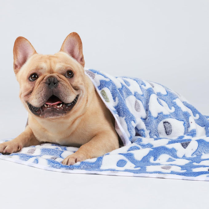 3-pack Soft Fluffy Elephant Pattern Pet Blanket Flannel Throw for Small Dogs and Cats Blue/Pink/Yellow 23x16 inch