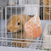 pvnby 4-piece himalayan salt blocks for small pets, natural mineral salts with hook hanging