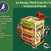 Wildlife Sciences Suet Plus 6 Pack Variety Feeder for Outdoor Wildlife, Waterproof, Durable Plastic