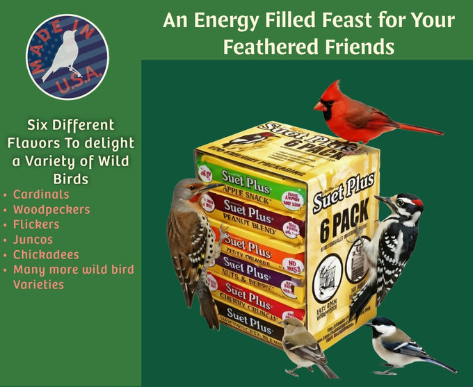 Wildlife Sciences Suet Plus 6 Pack Variety Feeder for Outdoor Wildlife, Waterproof, Durable Plastic