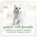 Purina Fancy Feast Gravy Lovers Salmon Feast Grilled Gourmet Cat Food in Wet Cat Food Gravy - (Pack of 24) 3 oz. Cans