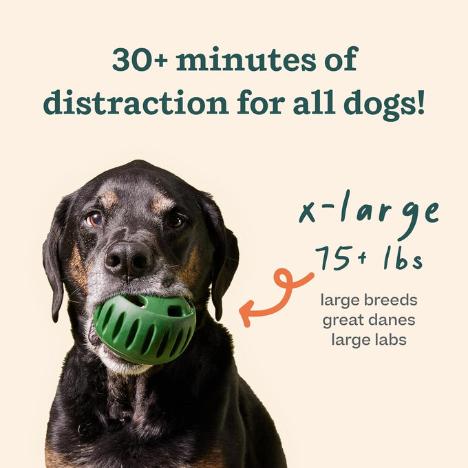 woof starter pack interactive dog ball toy for xl pups 75+ lbs chicken-flavored healthy dog treats