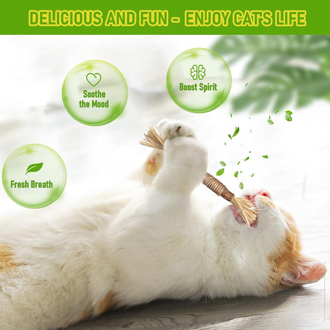 BAWAN 5PCS Silvervine Cat Chew Sticks for Indoor Cats Interactive Teething Toys for Kitten Aggressive Chewers