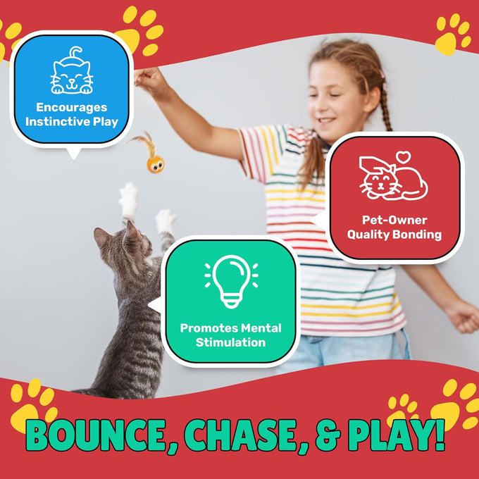 Bouncy Tails 5 Pack Natural Feather Bouncy Ball for Indoor Cats and Kittens Play Toy Set