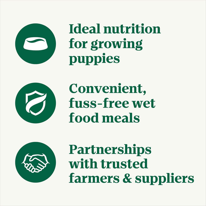 Nutro Puppy Grain Free Wet Dog Food, Tender Beef, Pea & Carrot