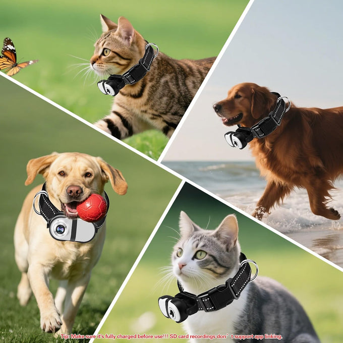 HD 1080P Pet Camera Collar with Video Record Wireless Mini Sport Cam, Small Action Cameras for Pet Supplies