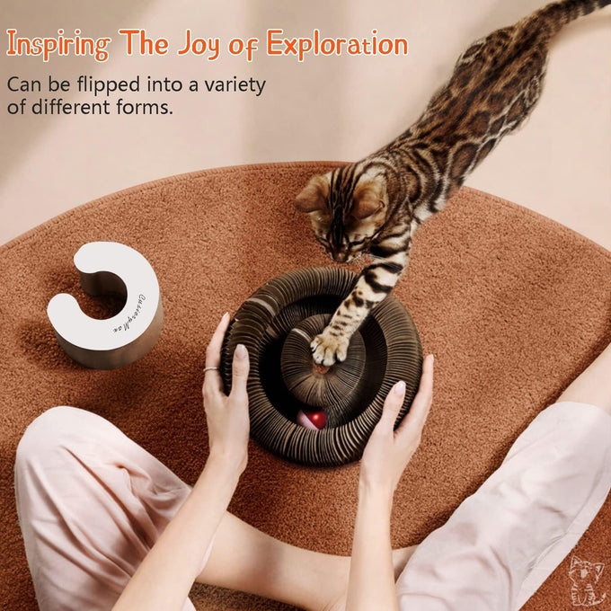CusieryMax Cat Ball Adventure, Interactive Mental & Physical Exercise for Indoor Cats, 3-in-1 Multifunctional Toy
