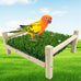 FlidRunest Parrot Hammock Bed, Bird Grass Perch Bed, Foraging Toy for Parakeet, Cockatiel, Lovebird, Conure