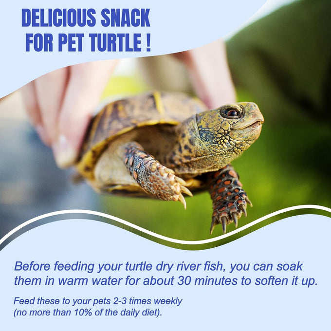 Amzey 2.3 oz dried whole river fish for turtles, terrapins, reptiles, and large tropical fish - natural and healthy