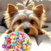100pcs Candy Colour Small Dogs Mini Elastic Hair Rings Bands for Yorkshire Maltese Hair Grooming