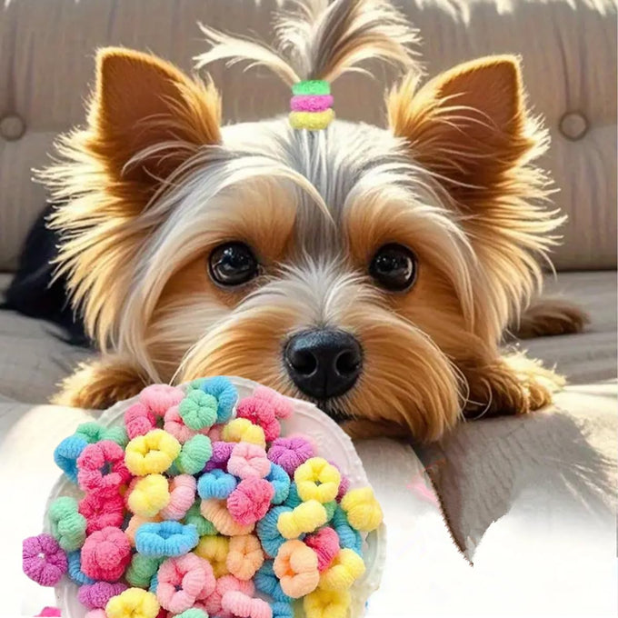 100pcs Candy Colour Small Dogs Mini Elastic Hair Rings Bands for Yorkshire Maltese Hair Grooming