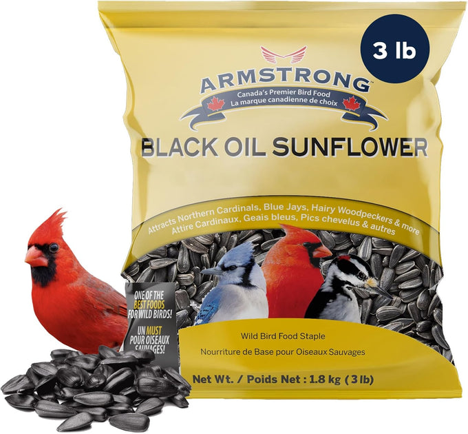 armstrong black oil sunflower bird seed, 35.3 pounds, northern cardinals, blue jays, hairy woodpeckers