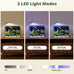 2.5 Gallon Small Fish Tank Aquarium Kit with Ultra-Clear Glass and LED Light for Desktop or Beginner Use