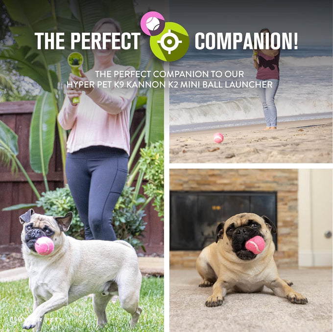hyper pet mini tennis balls for small dogs, pink, non-toxic, 1.75 inches diameter, 4 pack