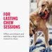 kong natural rubber ring toy for medium large dogs - durable chew toy supports healthy dental habits