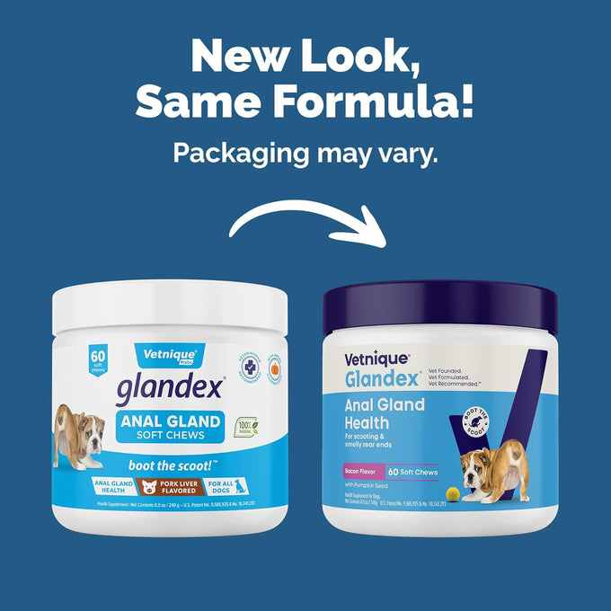 Vetnique Glandex Anal Gland Soft Chews with Pumpkin, Digestive Enzymes, Probiotics, Fiber Supplement for Dogs (Bacon Flavor, 60 Count)