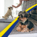 Muddy Mat grey microfiber chenille door mat indoor entryway rug non-slip machine washable pet rug 30x19