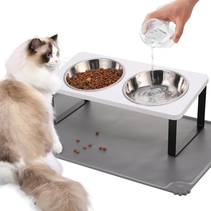 Upgraded 15°Tilted Stainless Steel Cat Bowls with Food Mat for Cats and Puppy
