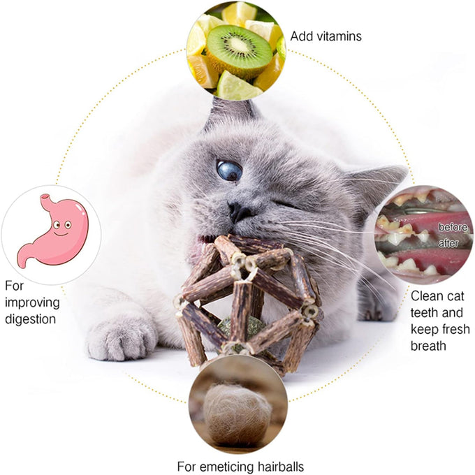 Gochanmon 2-pcs natural Silvervine stick and catnip ball cat toys for indoor cats and kittens
