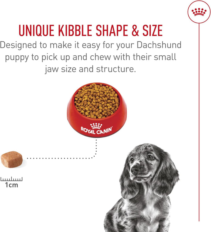 Royal Canin Dachshund Puppy Dry Dog Food, 2.5 lb Bag