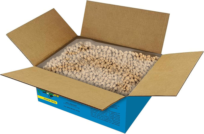 C&S 8-pound wild bird woodpecker suet nuggets mega box with soft textured round nuggets